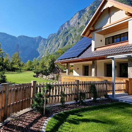 Privillage Stare - B&B Bohinj Exteriér fotografie